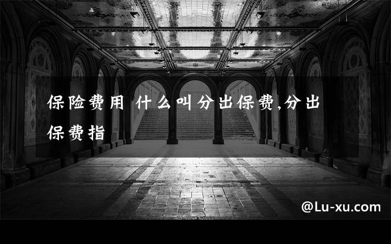 保险费用 什么叫分出保费,分出保费指文章配图