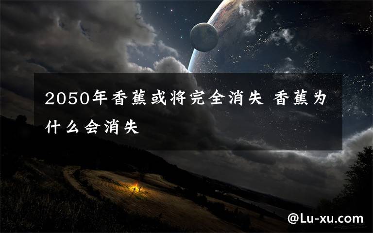 2050年香蕉或将完全消失 香蕉为什么会消失文章配图