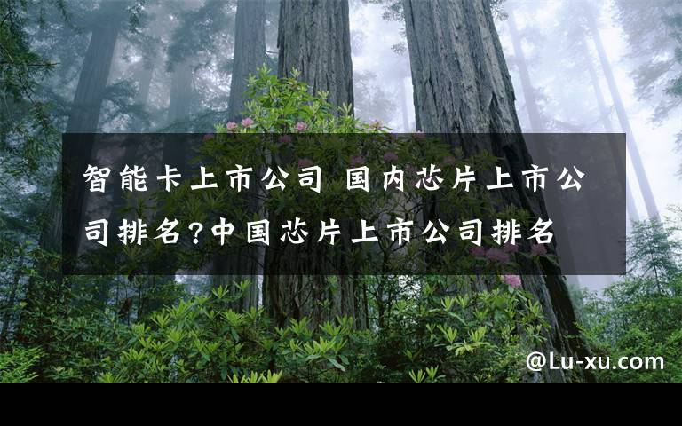 智能卡上市公司 国内芯片上市公司排名?中国芯片上市公司排名文章配图