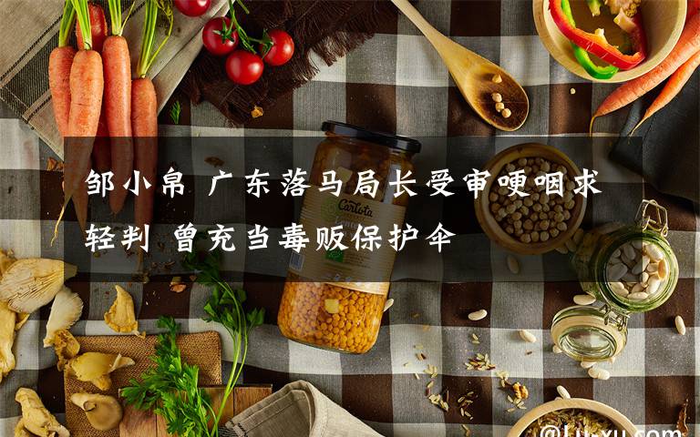 邹小帛 广东落马局长受审哽咽求轻判 曾充当毒贩保护伞文章配图