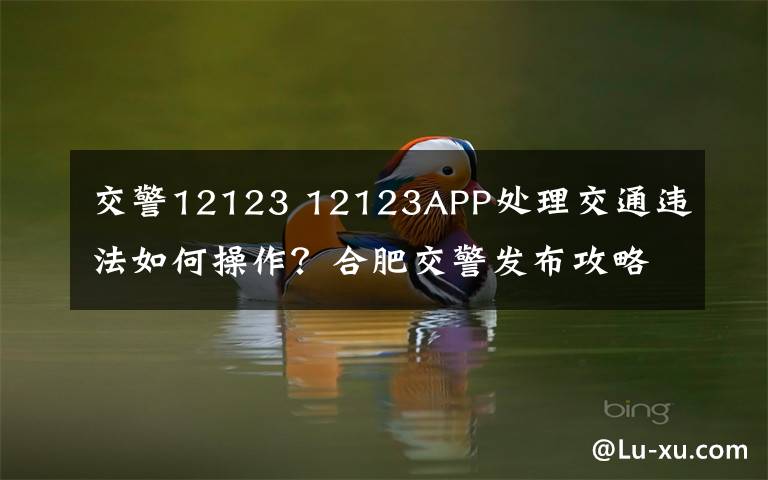 交警12123 12123APP处理交通违法如何操作？合肥交警发布攻略文章配图