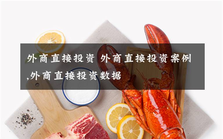 外商直接投资 外商直接投资案例,外商直接投资数据文章配图