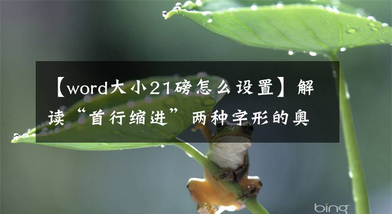 【word大小21磅怎么设置】解读“首行缩进”两种字形的奥秘文章配图