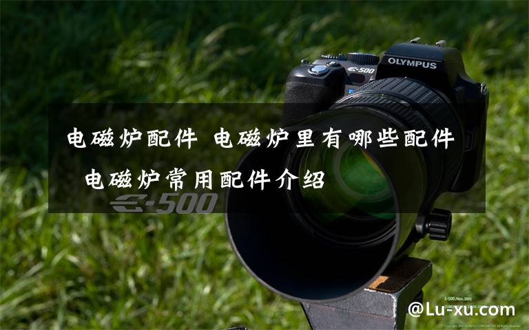 电磁炉配件 电磁炉里有哪些配件  电磁炉常用配件介绍文章配图
