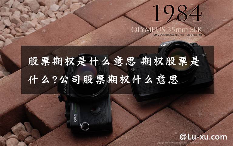 股票期权是什么意思 期权股票是什么?公司股票期权什么意思文章配图