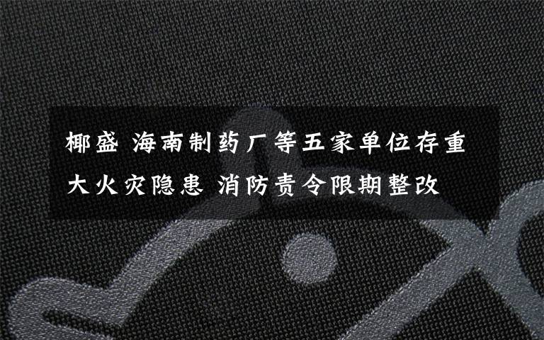 椰盛 海南制药厂等五家单位存重大火灾隐患 消防责令限期整改