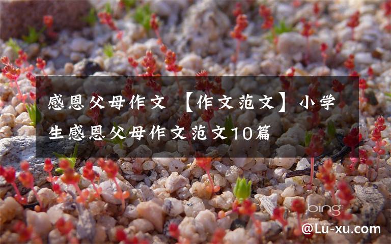 感恩父母作文 【作文范文】小学生感恩父母作文范文10篇文章配图