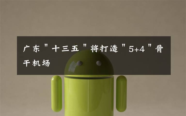 广东＂十三五＂将打造＂5+4＂骨干机场文章配图