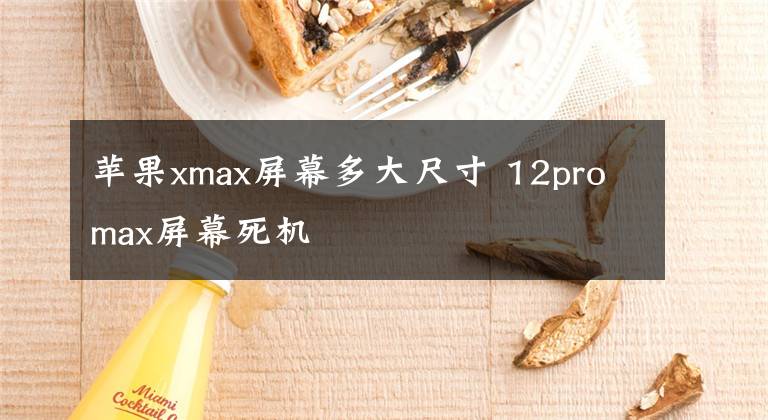 苹果xmax屏幕多大尺寸 12promax屏幕死机