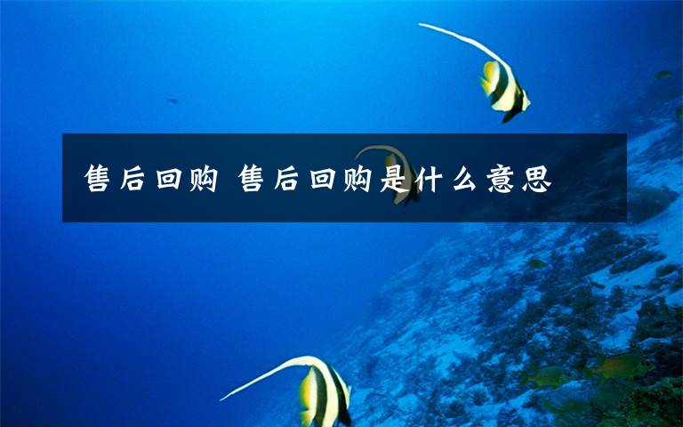 售后回购 售后回购是什么意思文章配图