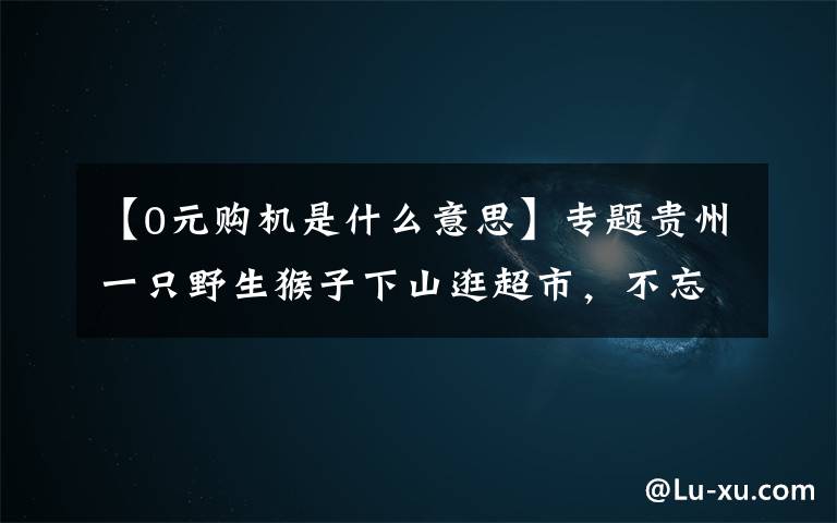 【0元购机是什么意思】专题贵州一只野生猴子下山逛超市，不忘“打包”。网友：猴子“0元购买”文章配图