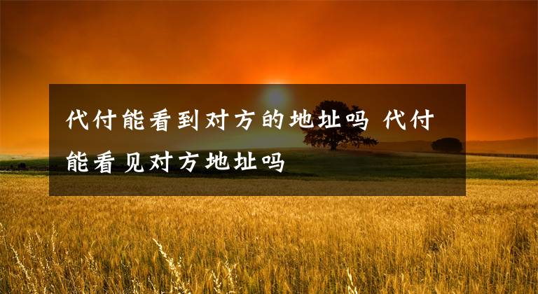 代付能看到对方的地址吗 代付能看见对方地址吗文章配图