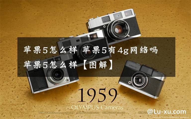 苹果5怎么样 苹果5有4g网络吗 苹果5怎么样【图解】文章配图