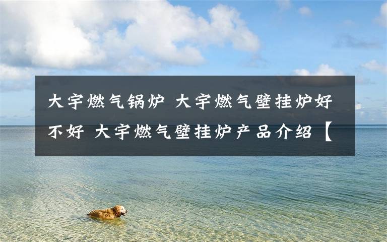 大宇燃气锅炉 大宇燃气壁挂炉好不好 大宇燃气壁挂炉产品介绍【详解】文章配图