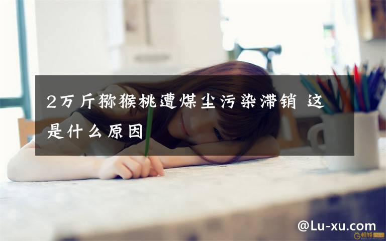 2万斤猕猴桃遭煤尘污染滞销 这是什么原因文章配图