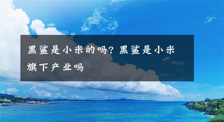 黑鲨是小米的吗? 黑鲨是小米旗下产业吗文章配图