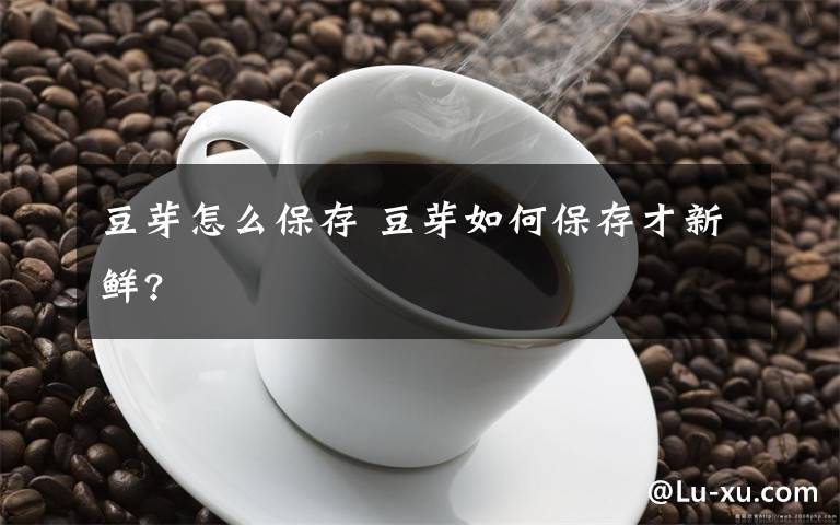 豆芽怎么保存 豆芽如何保存才新鲜?文章配图