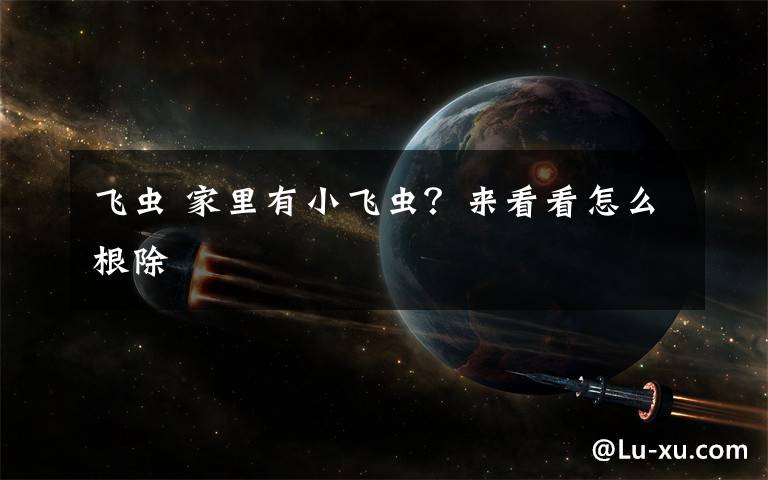 飞虫 家里有小飞虫？来看看怎么根除文章配图