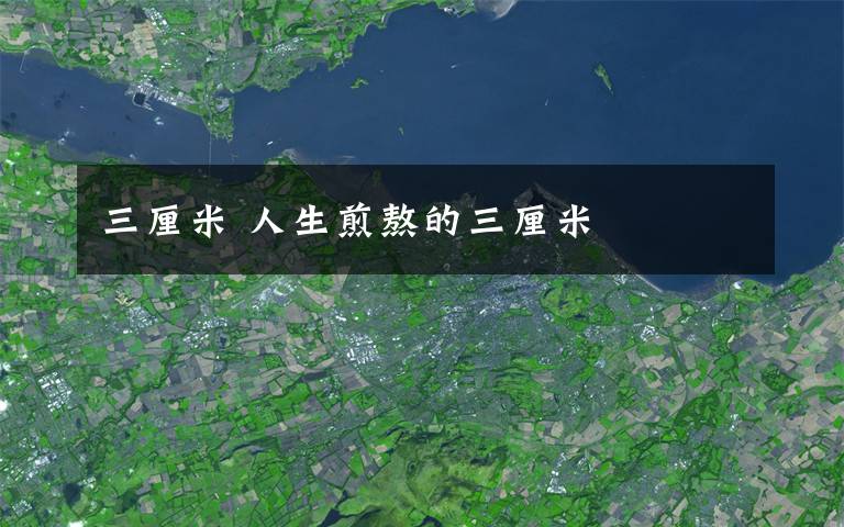 三厘米 人生煎熬的三厘米文章配图