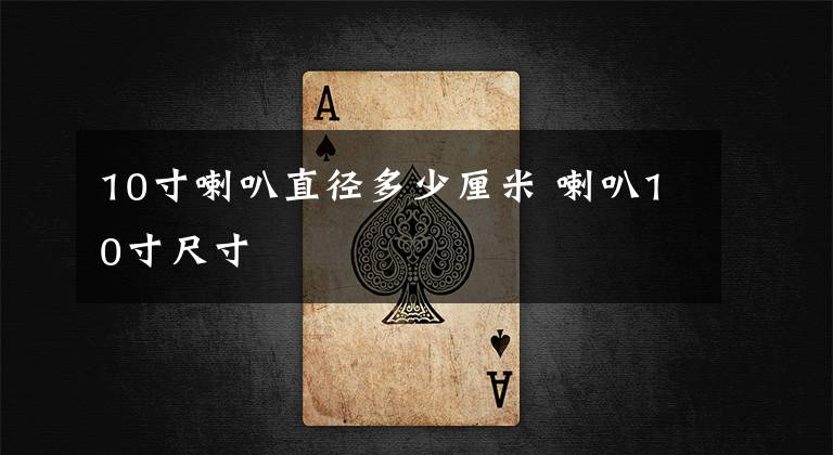 10寸喇叭直径多少厘米 喇叭10寸尺寸文章配图