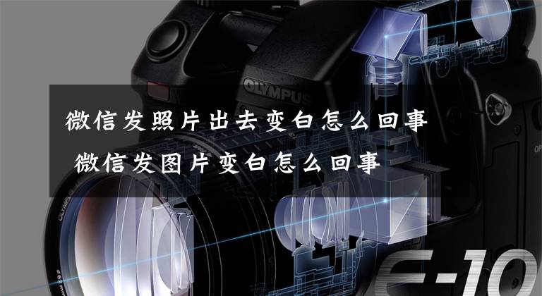 微信发照片出去变白怎么回事 微信发图片变白怎么回事文章配图