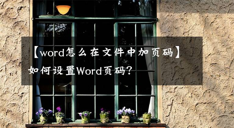 【word怎么在文件中加页码】如何设置Word页码？文章配图