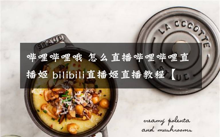 哔哩哔哩哦 怎么直播哔哩哔哩直播姬 bilibili直播姬直播教程【详细介绍】文章配图