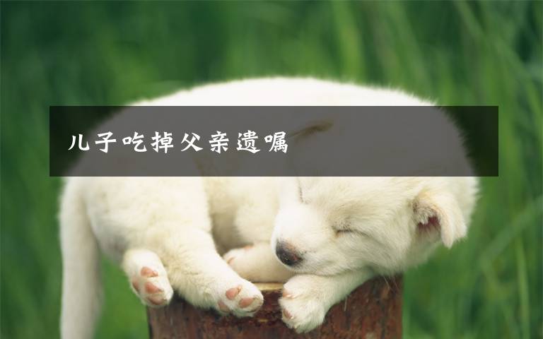 儿子吃掉父亲遗嘱文章配图
