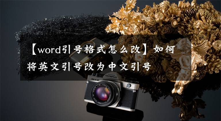 【word引号格式怎么改】如何将英文引号改为中文引号文章配图
