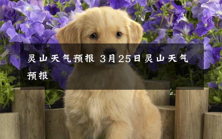 灵山天气预报 3月25日灵山天气预报文章配图