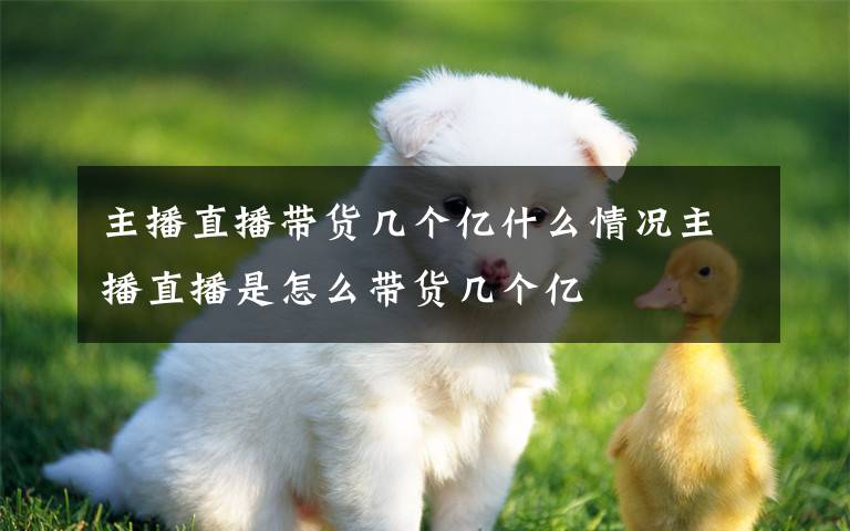 主播直播带货几个亿什么情况主播直播是怎么带货几个亿文章配图