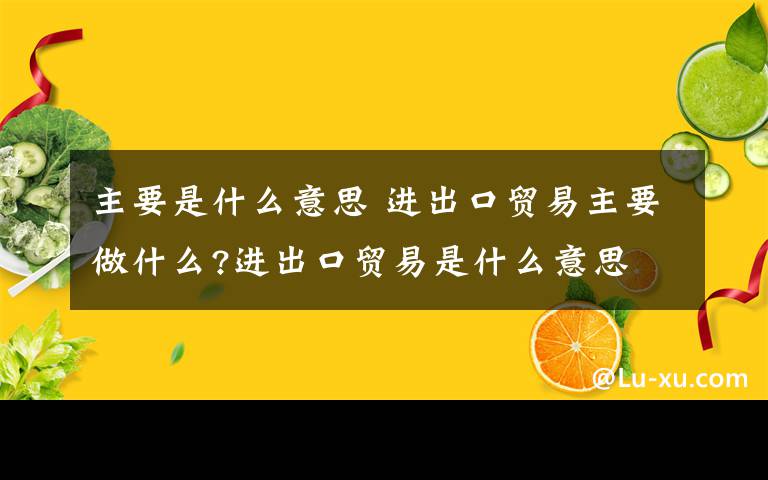 主要是什么意思 进出口贸易主要做什么?进出口贸易是什么意思文章配图