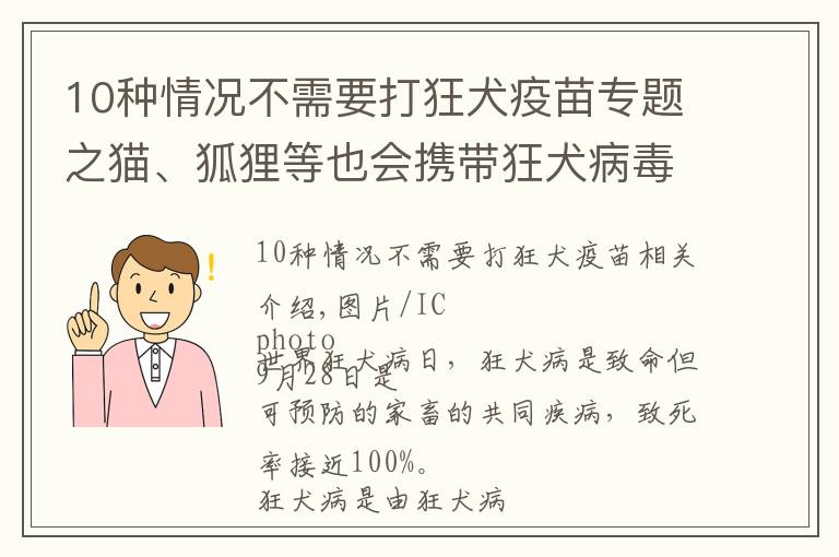 10种情况不需要打狂犬疫苗专题之猫、狐狸等也会携带狂犬病毒 受伤后接种疫苗越早越好