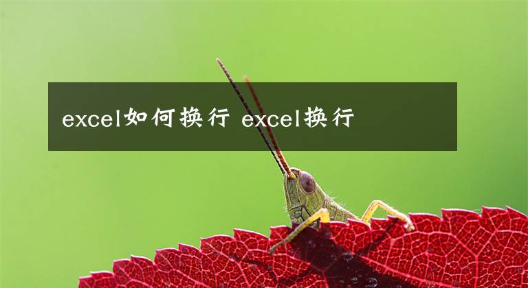 excel如何换行 excel换行