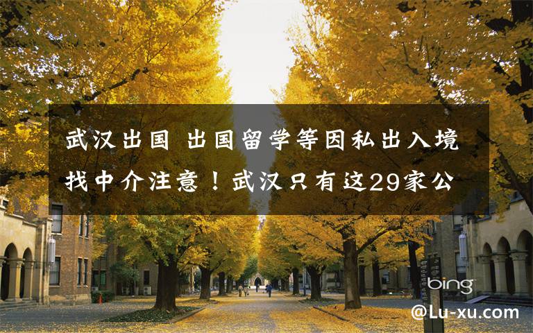 武汉出国 出国留学等因私出入境找中介注意！武汉只有这29家公司通过年审文章配图