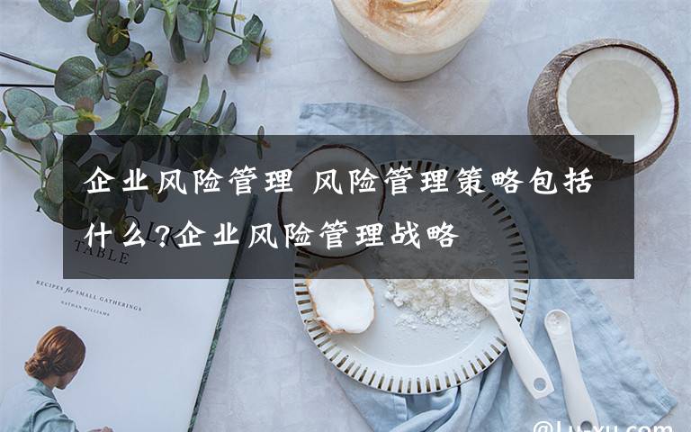 企业风险管理 风险管理策略包括什么?企业风险管理战略文章配图