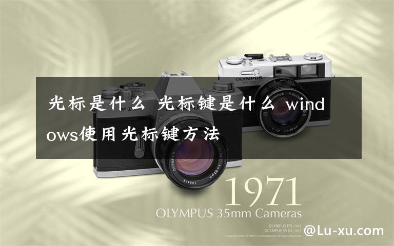 光标是什么 光标键是什么 windows使用光标键方法文章配图