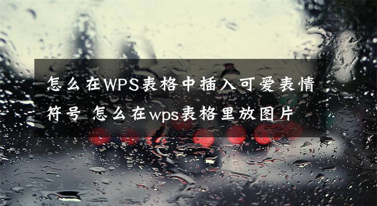 怎么在WPS表格中插入可爱表情符号 怎么在wps表格里放图片文章配图