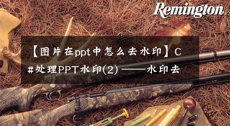 【图片在ppt中怎么去水印】C#处理PPT水印(2) ——水印去除效果(文本水印、图片水印)文章配图