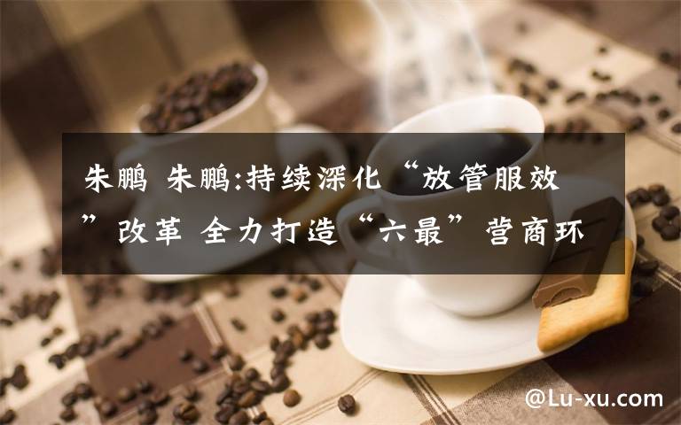 朱鹏 朱鹏:持续深化“放管服效”改革 全力打造“六最”营商环境文章配图