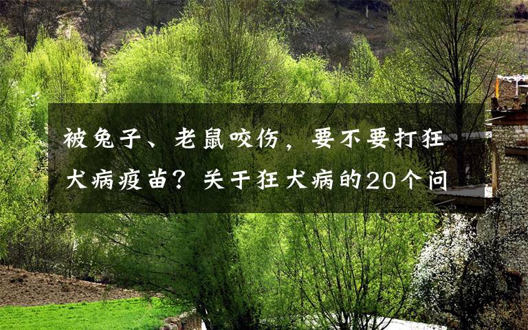被兔子、老鼠咬伤，要不要打狂犬病疫苗？关于狂犬病的20个问题文章配图