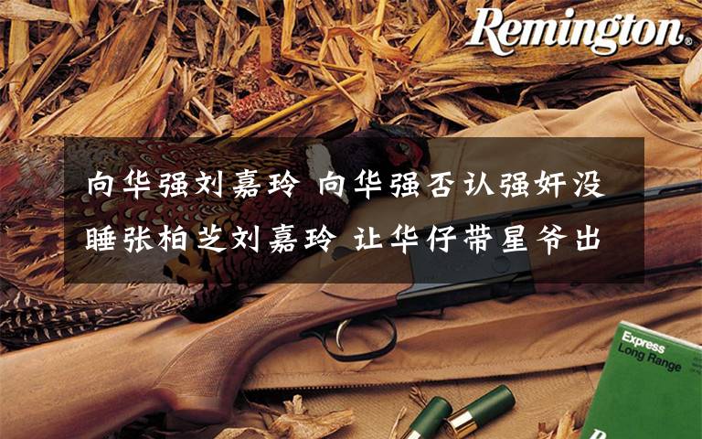 向华强刘嘉玲 向华强否认强奸没睡张柏芝刘嘉玲 让华仔带星爷出道:他忘恩负义文章配图