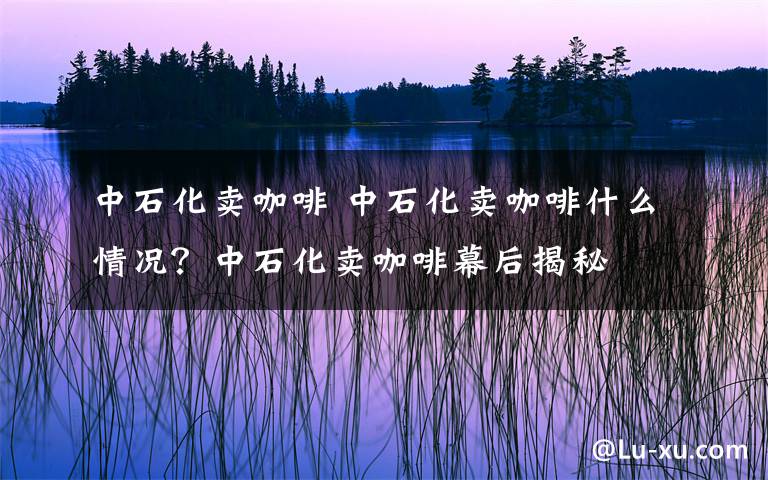 中石化卖咖啡 中石化卖咖啡什么情况？中石化卖咖啡幕后揭秘文章配图