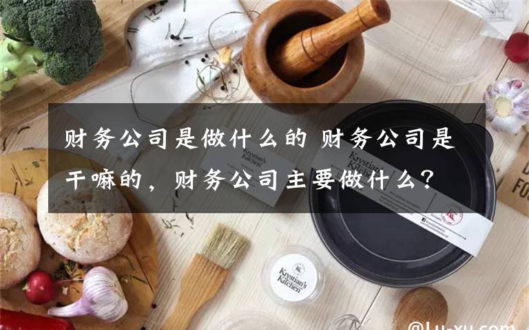 财务公司是做什么的 财务公司是干嘛的，财务公司主要做什么？文章配图