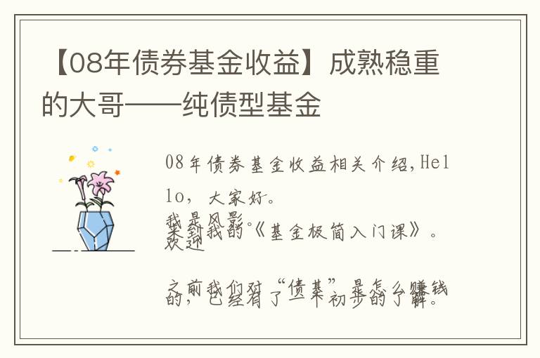 【08年债券基金收益】成熟稳重的大哥——纯债型基金