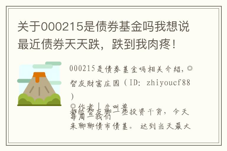 关于000215是债券基金吗我想说最近债券天天跌，跌到我肉疼！债基还能买吗？