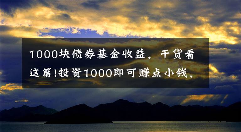 1000块债券基金收益，干货看这篇!投资1000即可赚点小钱，可转债打新攻略