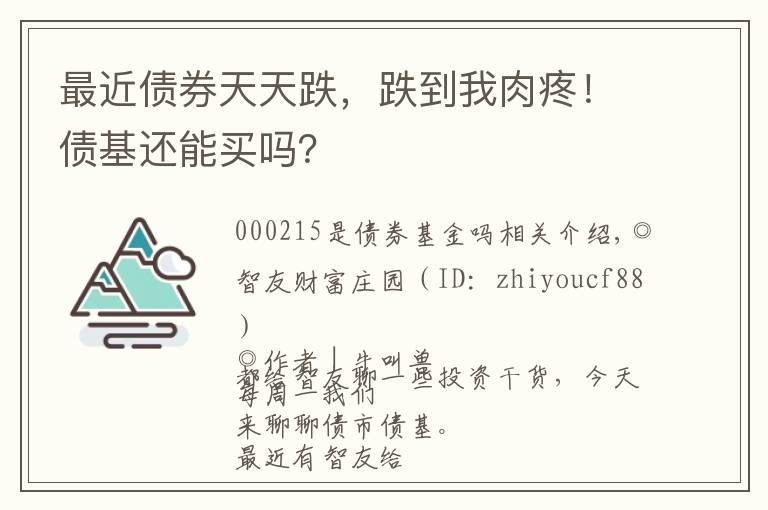 最近债券天天跌，跌到我肉疼！债基还能买吗？文章配图