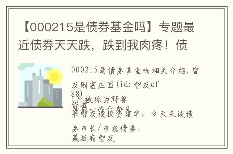 【000215是债券基金吗】专题最近债券天天跌，跌到我肉疼！债基还能买吗？