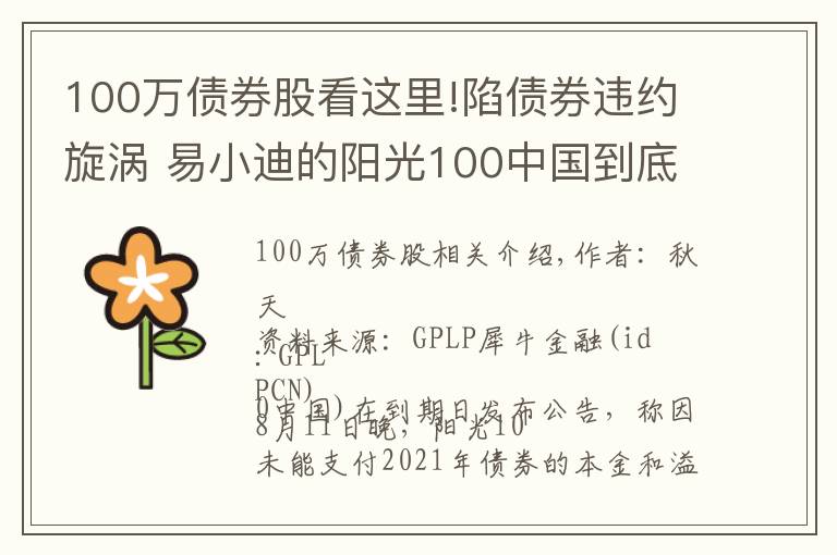 100万债券股看这里!陷债券违约旋涡 易小迪的阳光100中国到底有多难？